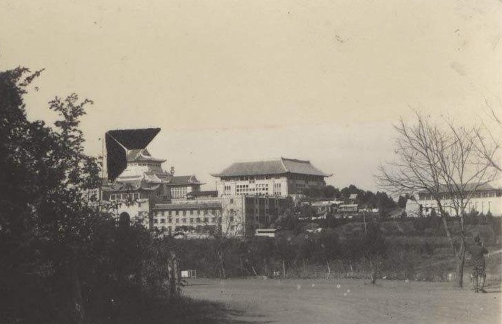 开挂|23岁的女校长,被退婚后人生开挂:努力,是幸运的理由