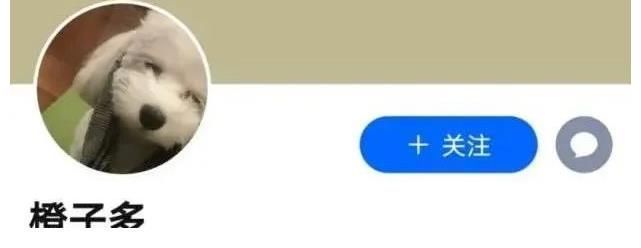 李佳琦|李佳琦金婧BE了?女方男友被扒出,十分有才是动画《不良人》编导