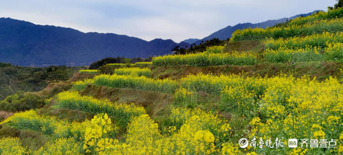 婺源篁岭的油菜花漫山遍野，美不胜收