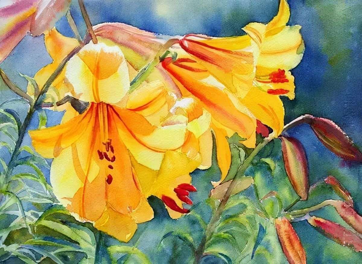 水彩&水彩画欣赏：澳大利亚水彩画家30张水彩花卉，动人