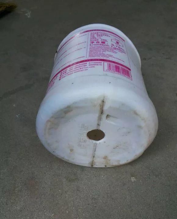 葡萄无花果插在塑料瓶里，2周生根，成活率高，1株变10株！