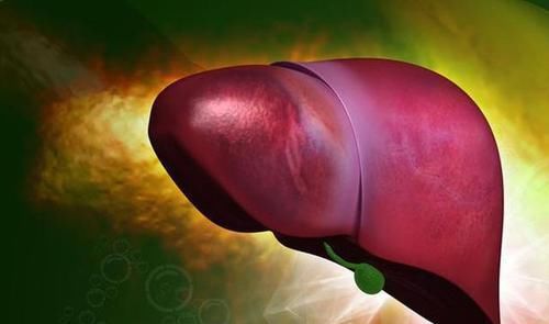 养肝就是养命！平时敞开吃6物，养肝排毒、肝脏或越来越健康