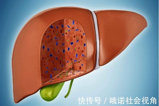 养肝|养肝“冠军”找到了,不是萝卜,敞开吃,肝脏或许健壮如“牛”