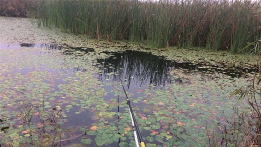 野钓选择钓位技巧:这些位置是“万能钓位”,一年四季是鱼窝!