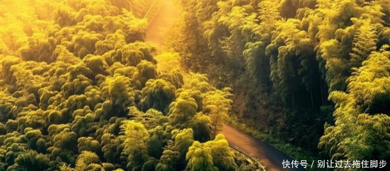 苏轼最俗气的一首诗,其中有两句还是至理名言,相信很多人都听过