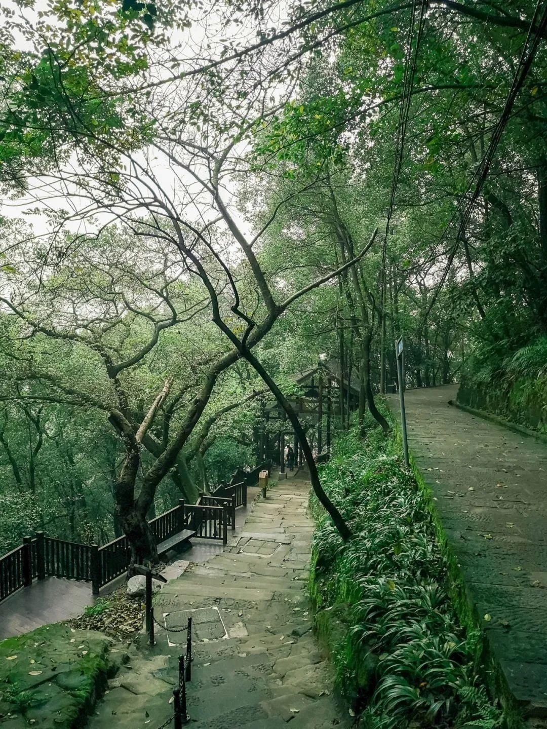  执笔三行，为你写诗|南岸情话 | 三行