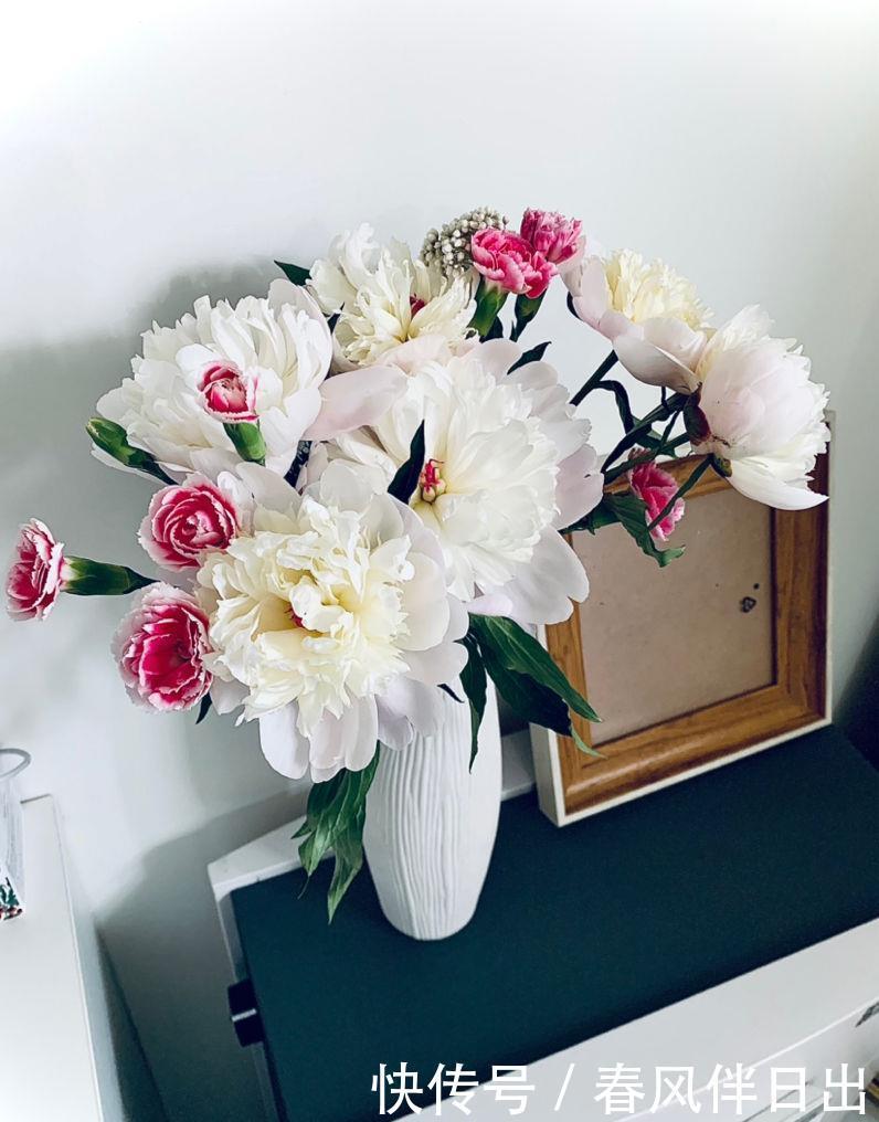 新手|“急性子”的4种花,买回家很快开花,适合新手养