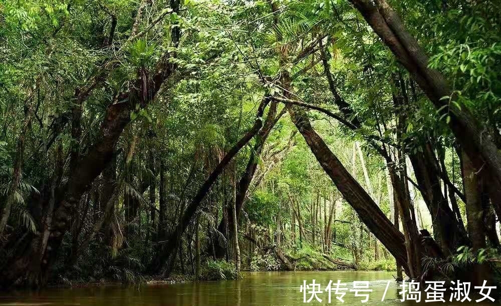 航天局|全球最大的热带雨林，藏着各种奇怪部落：不穿衣、抢丈夫、弃男婴