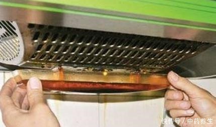 从厨房中找到这2样天然的生根剂,养花更无害、有趣!