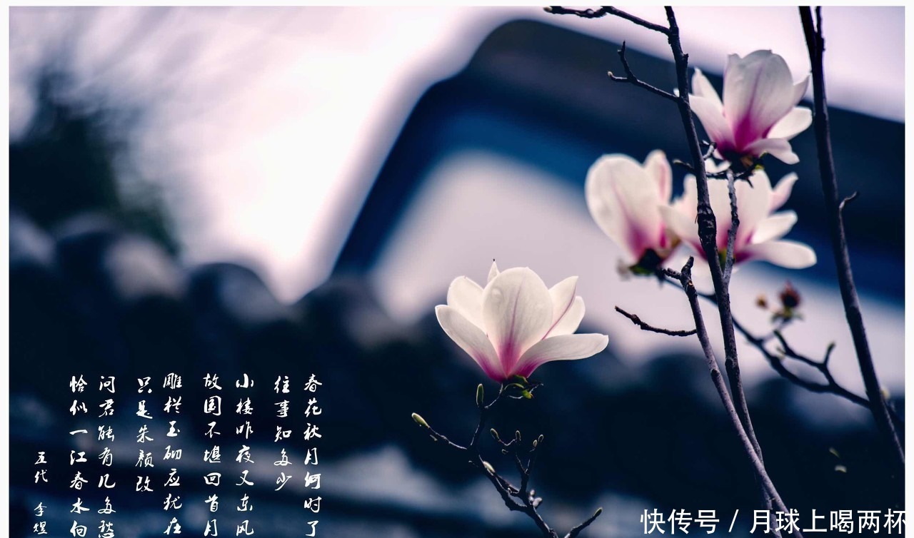 国家不幸诗家幸:李煜的帝王之悲和诗词之幸