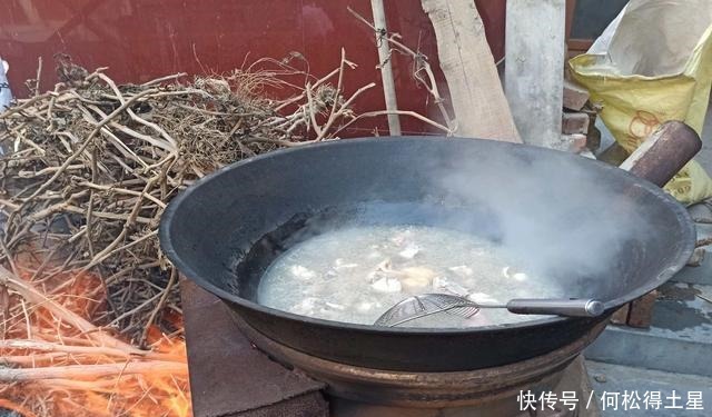 “铁锅炖大鹅”经典农村做法,软烂入味,年夜饭又多一道菜