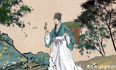 古方|“解除肝毒”的千年古方5味药泡茶饮,肝气活了,情志也舒畅了