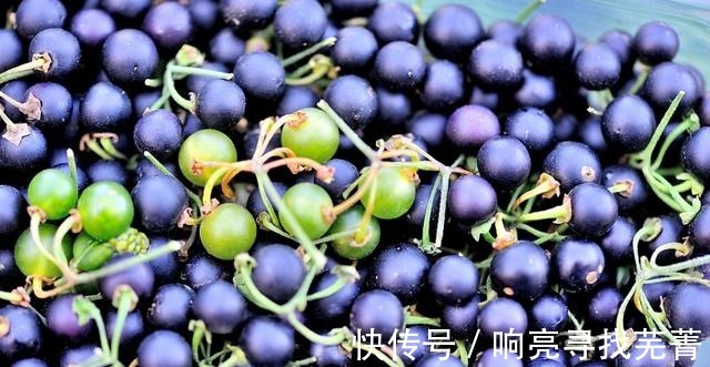 金秋逛农村大集，大葱白菜萝卜土豆热销，山货也很多！