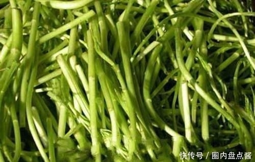 城里人|在农村都不吃的这个菜城里人都当宝