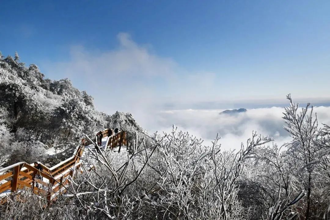 雪景|在六春湖邂逅雪景，定格冬日里的最美画面！期待下一场雪~