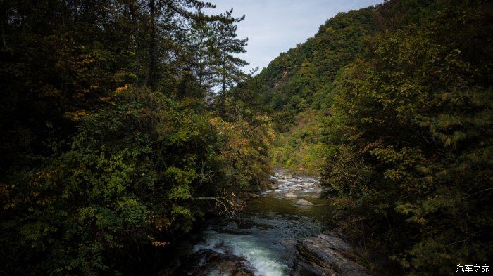 自然保护区|开着大唐去旅行——穿越太洋公路，赏黄柏塬醉美秋色（中篇）