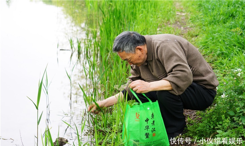 木棉|杭州的春天也太早了，来茅家埠赏风景挖野菜，寻找春天的气息