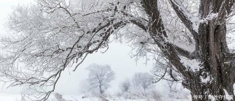 天津桥下|孟郊站在洛桥上望嵩山,看到山顶皑皑白雪,写下一首很伤感的诗
