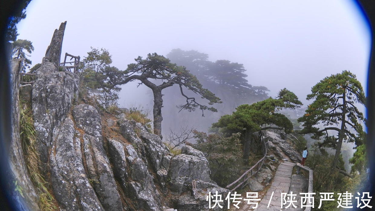 黄山|薄云浓雾游黄山宛若仙境【严建设】