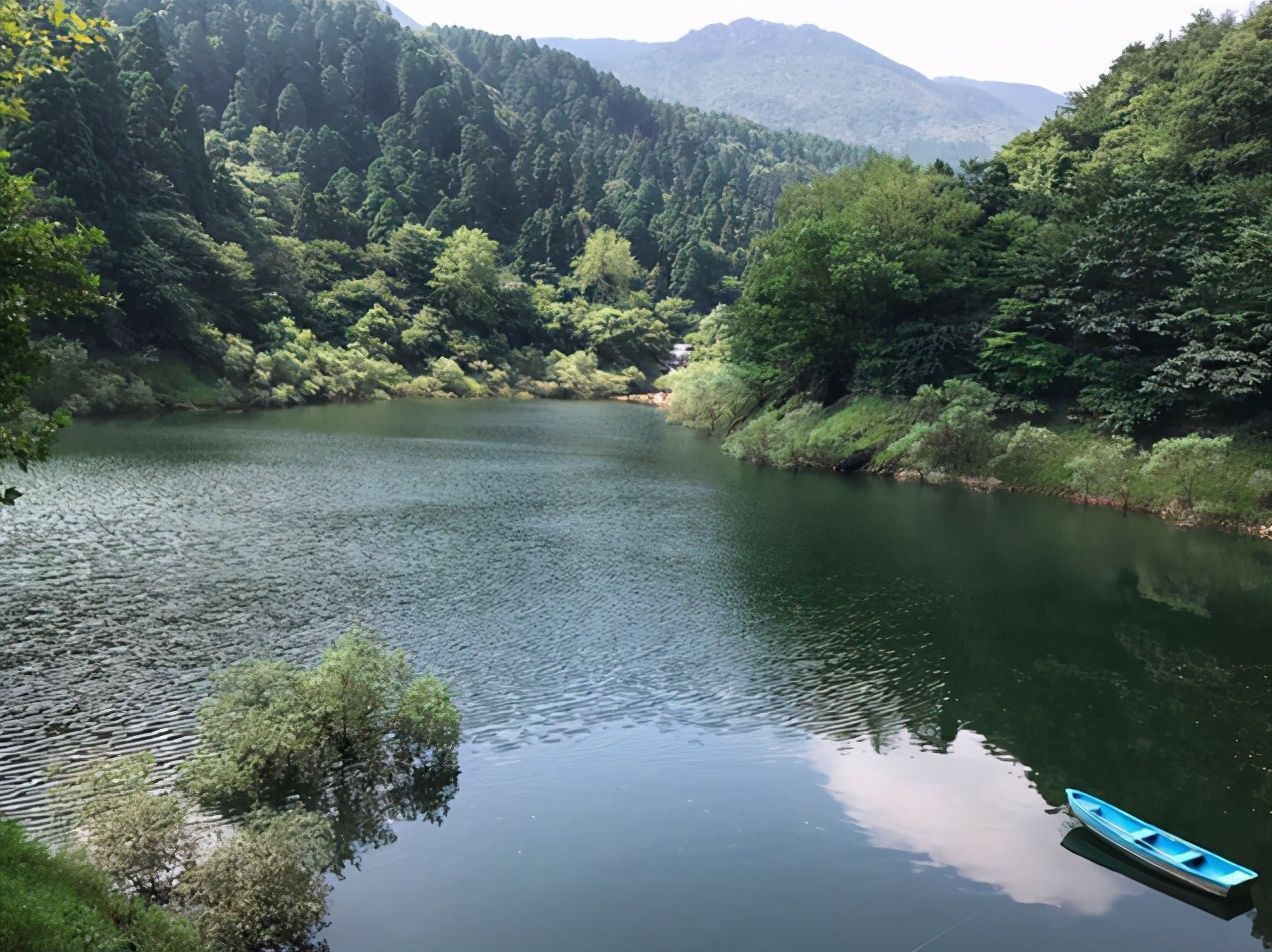 哲理@苏轼脍炙人口的一首诗,全是千古名句,值得一读再读