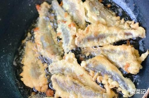 黄鳞鱼|这种鱼，便宜的没人吃，其实它的营养比甲鱼还高，很少人知道罢了