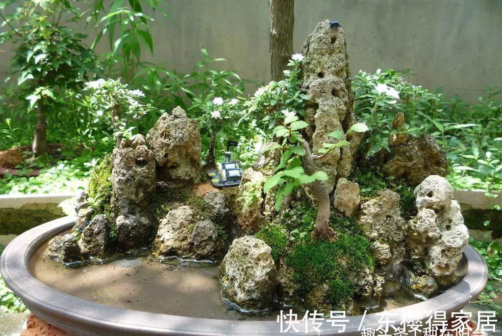 小小树石盆景有啥看头？它的画面与意境足以覆盖“自然山河”！