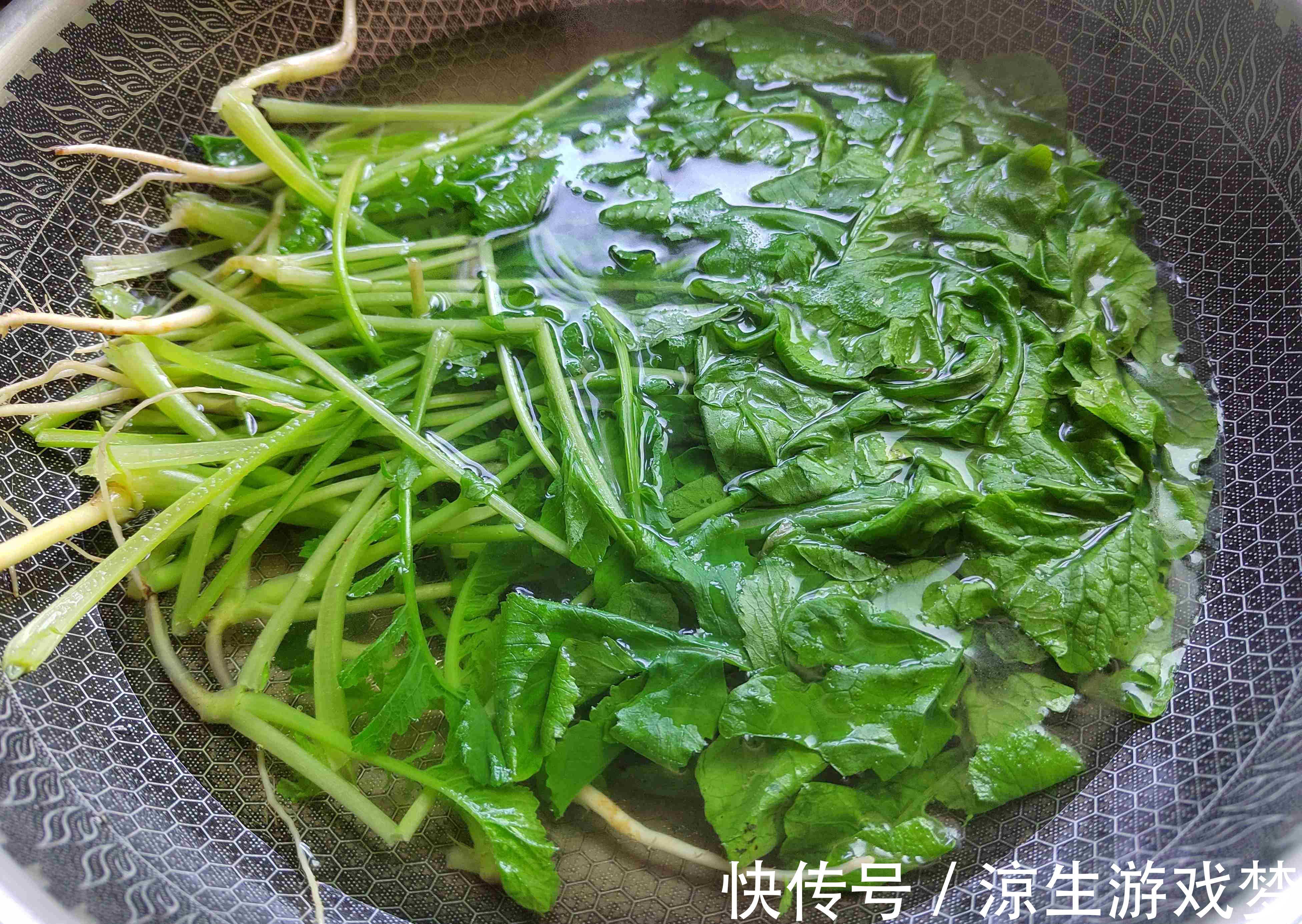 蔬菜中的“人参”,叶子营养极高,霜降后正鲜嫩,包饺子太香了!