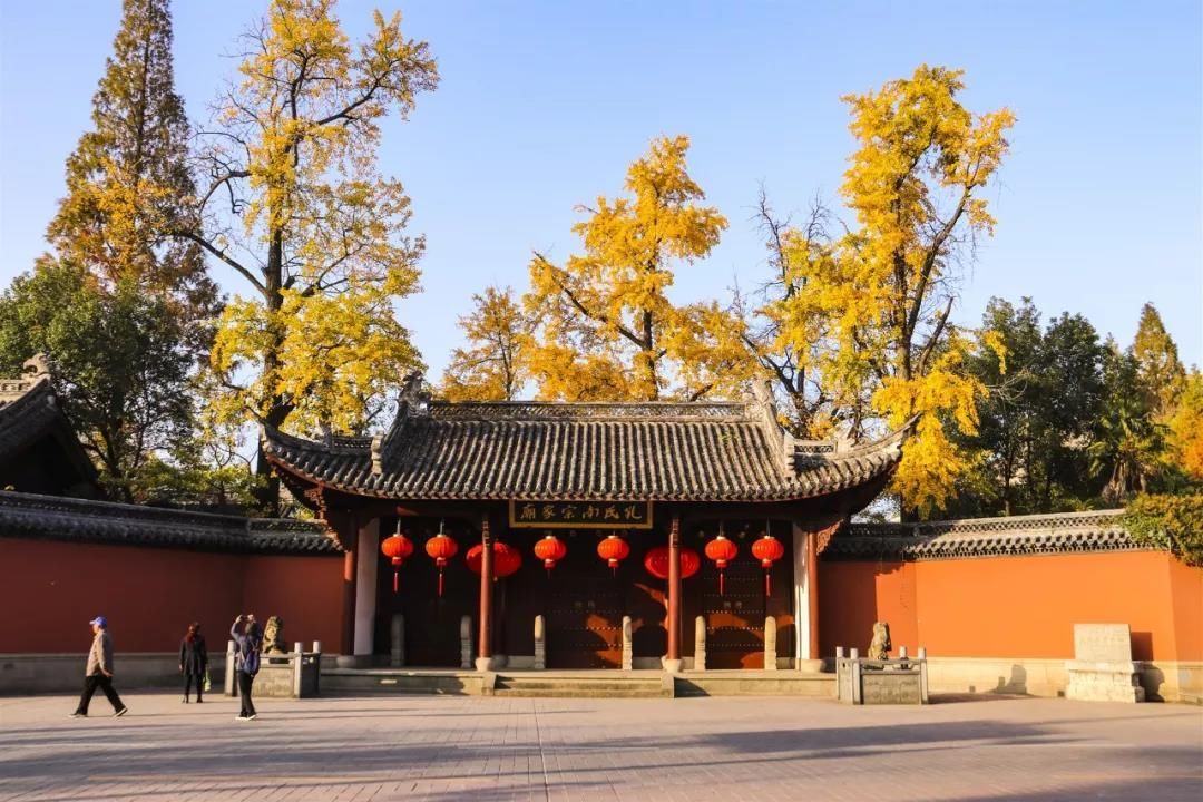 民宿 拭目以待！5年后游衢州，竟能拥有这样的旅游体验