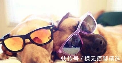 香兰素|7个冷到让你“盖被子”的冷知识,你还别不信,鱼真能淹死!