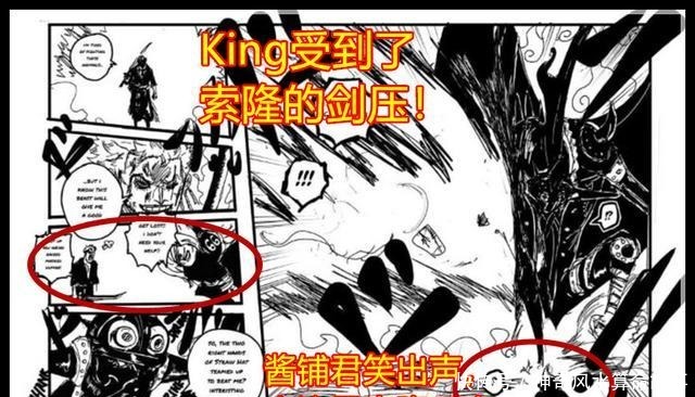 败给|海贼王漫画同人版山治败给了King，索隆急忙拦住了King