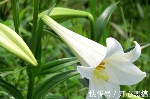 美容养生|40岁女性推荐多吃3种食物,美容养生、延缓衰老,爱吃就赚了!