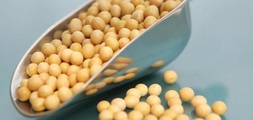 替代品|安眠药“替代品”公布,睡前喝两口,静心安神,好梦自然来