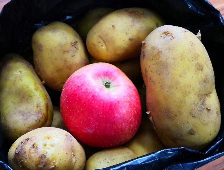 土豆发芽，吃掉还是扔掉之前做错了，快告诉家人，早知道早受益