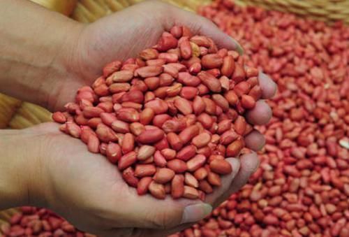 日常生活中|生吃花生和熟吃花生,区别竟然这么大,原来很多人都吃错了!