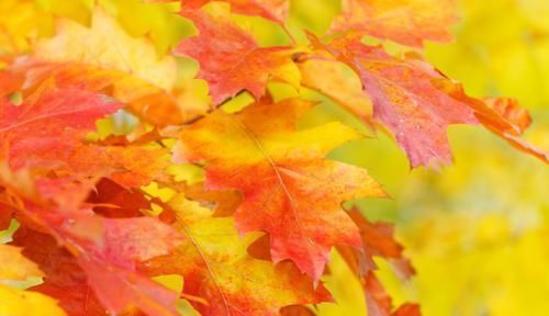 身高|关于男生的身高问题,大家一起来来讨论下!