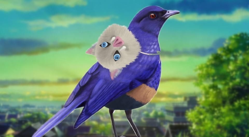 灶门|鬼灭之刃:不曾见到过的鸟类coser,炭冶郎神还原,弥豆子可爱不减