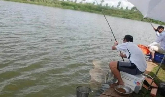 冬钓鲫鱼,老手用三种方法“看氧”,水中鱼情一看便知!