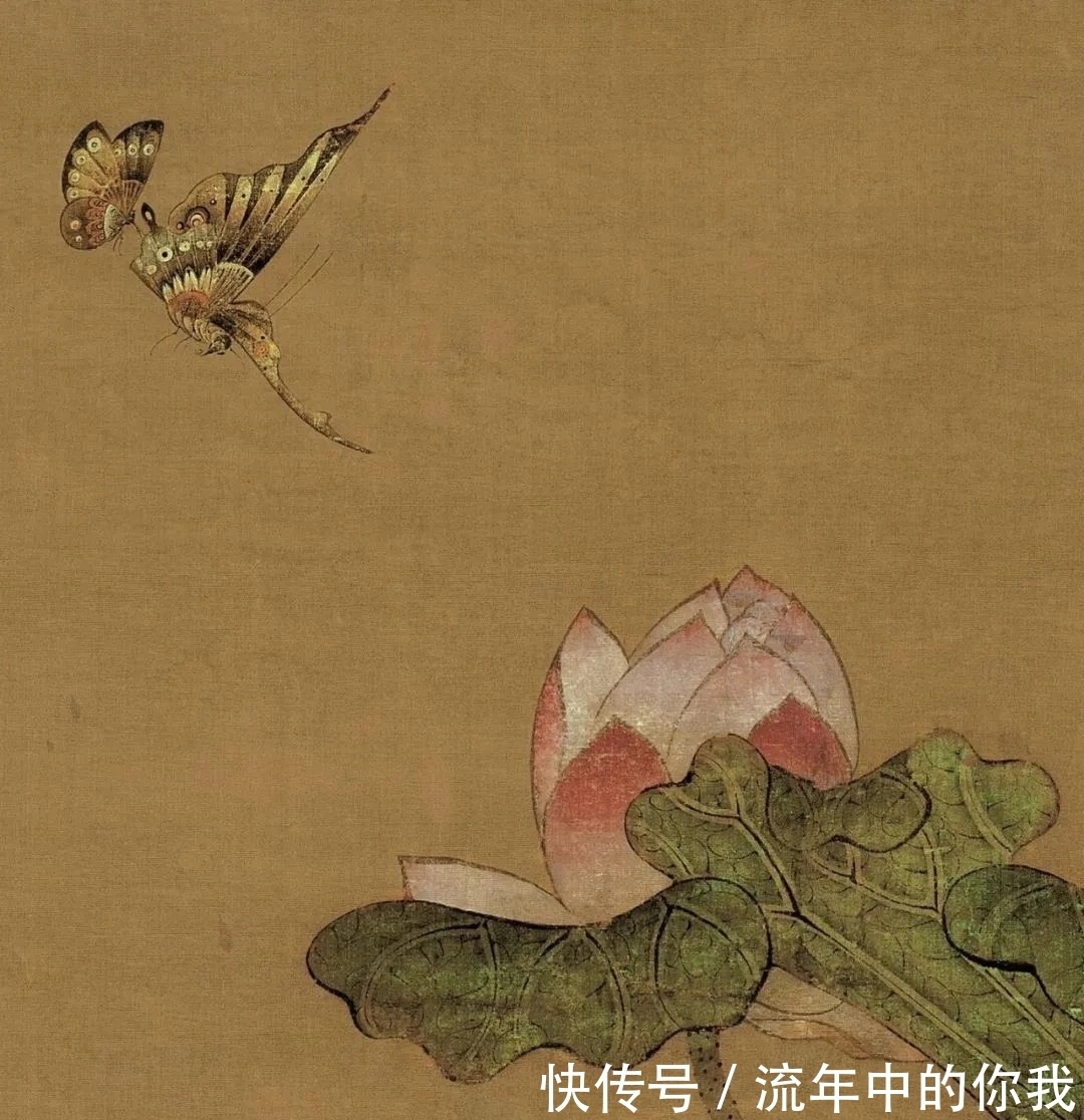 陈老莲$花鸟画|陈老莲画莲,中规中矩,一点不怪异,为什么?