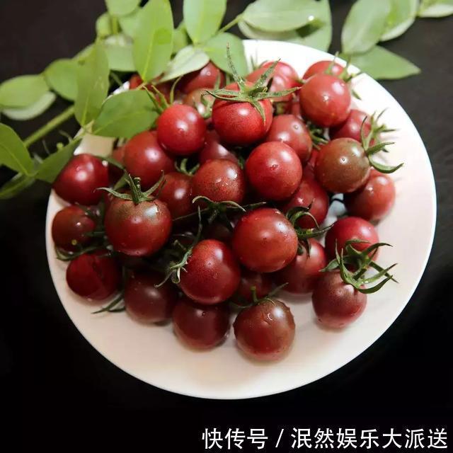 3种“水果”蔬菜，阳台就能种，青脆爽口，老人小孩都爱吃！