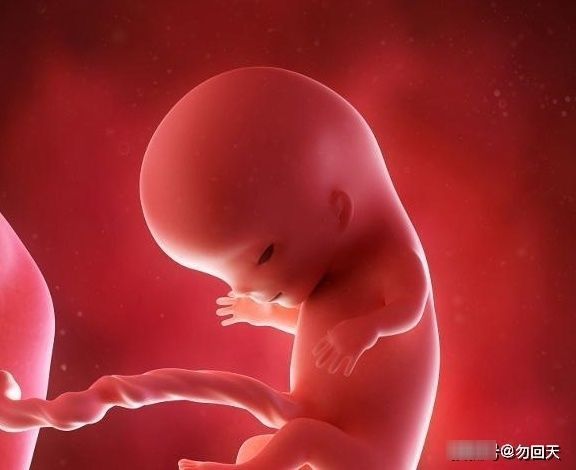 感觉|怀孕时,孕妈的4个感觉,可能是身体缺水的表现