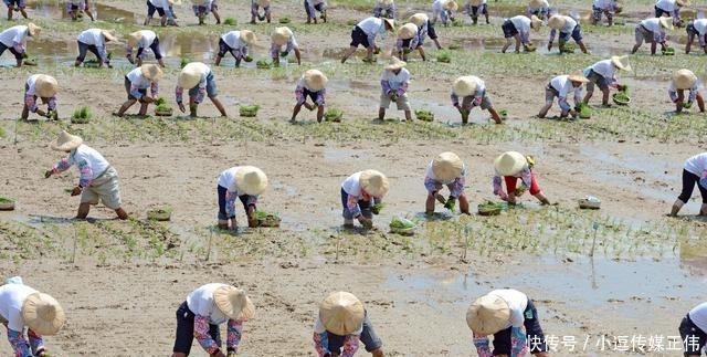 社会|《水浒传》与古代中国的小农经济制度:游民、地主和读书人