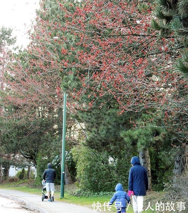 中薪|宅在家里的加拿大人干了这些事,最后一图人间有大爱