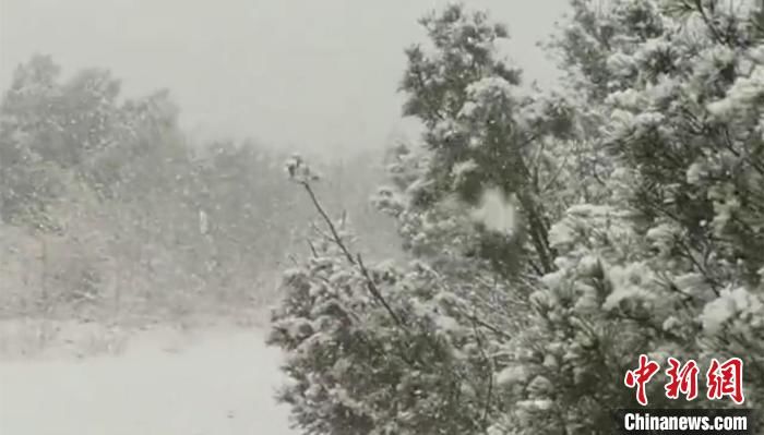 冯宏伟|“中国最冷小镇”迎来今秋第一场雪