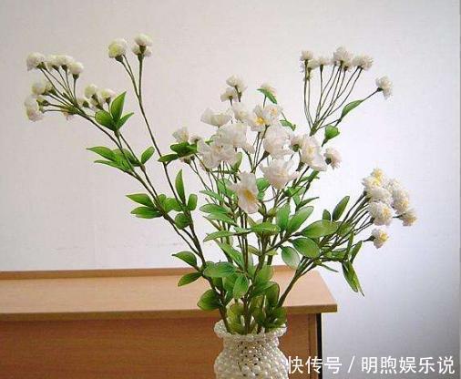 年长|院子再小，也要养棵它，2年长一片，开花特别美，左邻右舍都说香