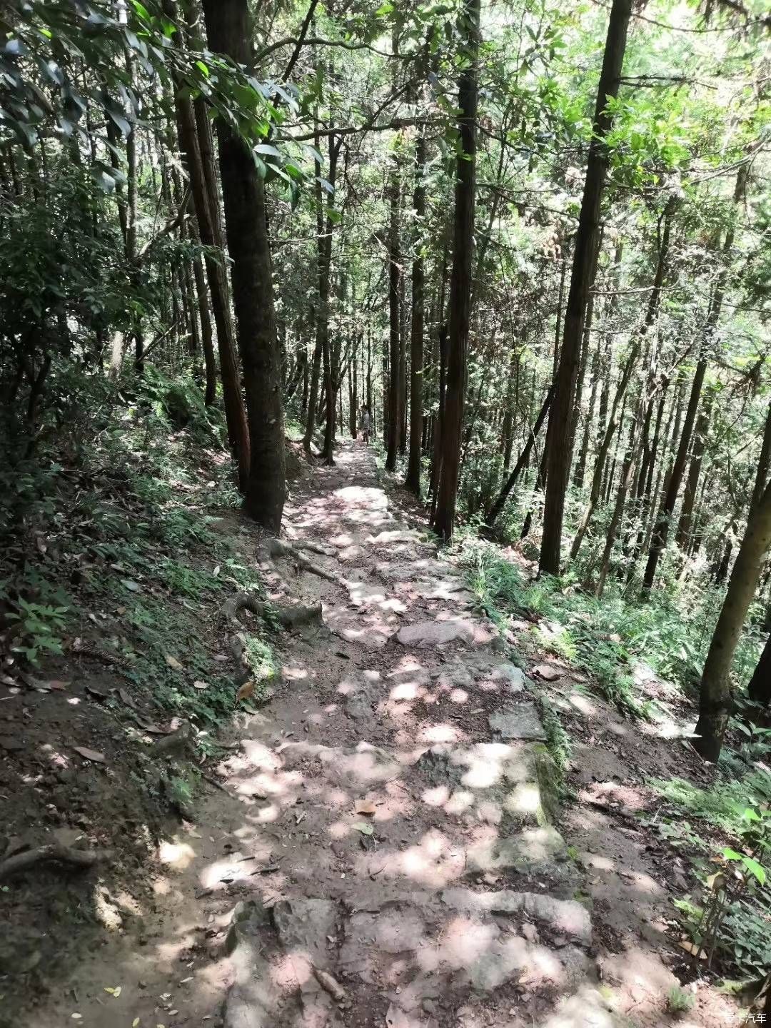 早知神仙居，何必去黄山