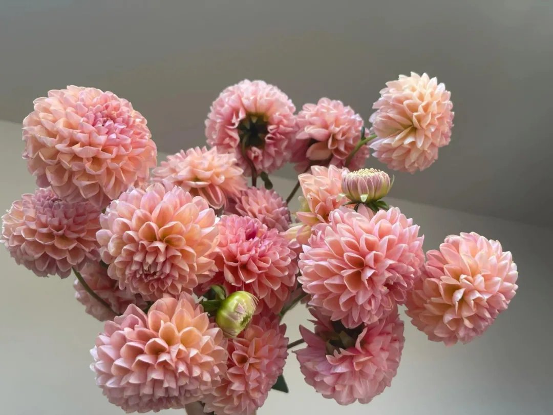 别舍弟宗一！30首经典数字诗，一首一个名句，让人拍案叫绝