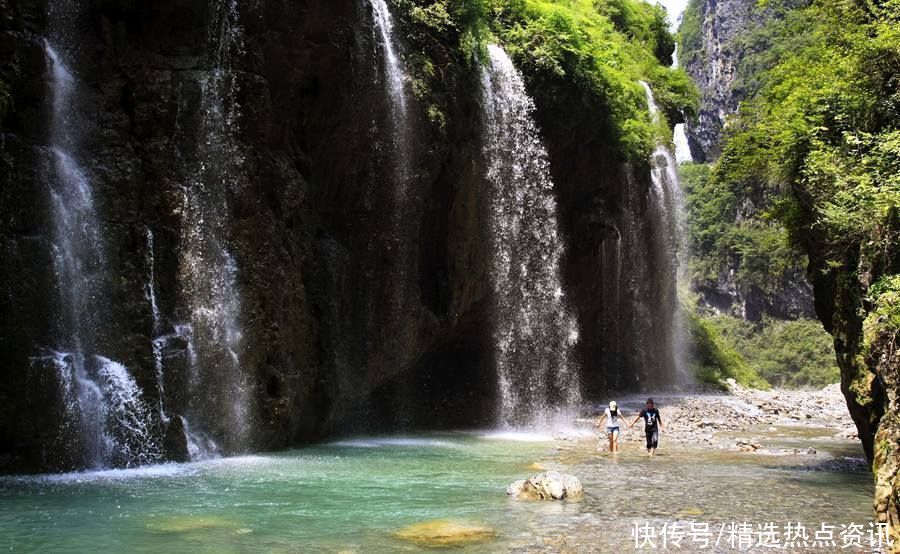 神农架|重庆五里坡成为世界自然遗产地