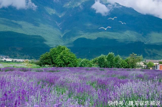 天涯何处无芳草|苏轼名句“天涯何处无芳草”家喻户晓,上一句更精妙,却少有人知