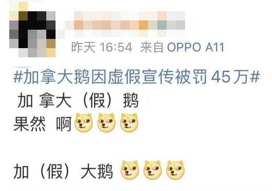 翻车|知名羽绒服“翻车”！网友：加拿大鹅还是加拿大鸭？