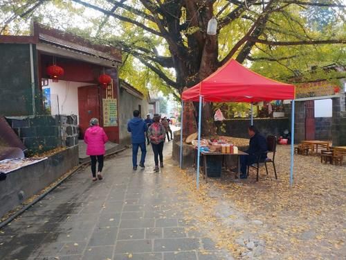 村庄|尝地道山货、看稀奇特产，除了赏银杏，腾冲江东村还有很多好味道